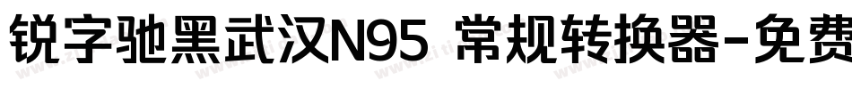 锐字驰黑武汉N95 常规转换器字体转换